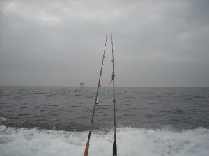 Wrakvissen op zee