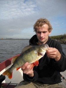 Baarzen op Noordzeekanaal