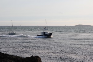 Zeebaars vissen Port-Navalo in Arzon