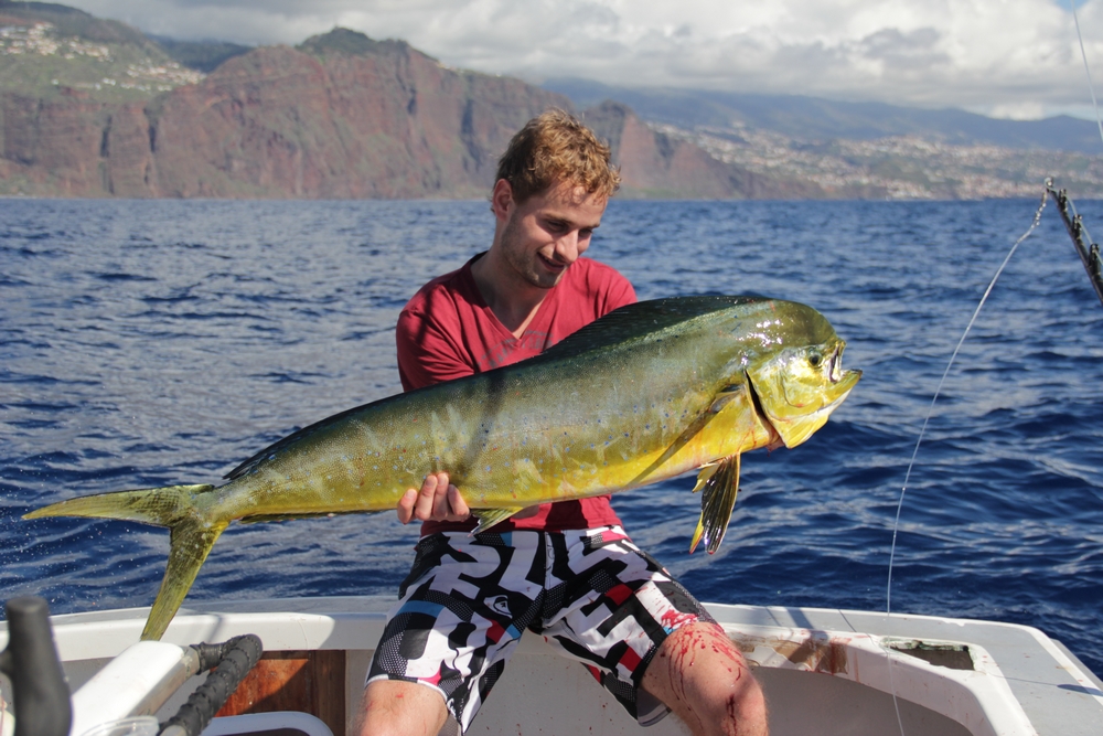 Madeira Big Game Fishing Dorado