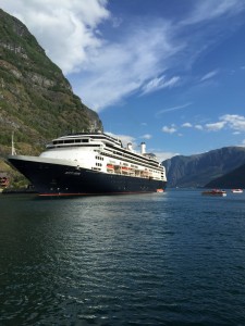 Vissen in Aurlandsfjord - Flåm