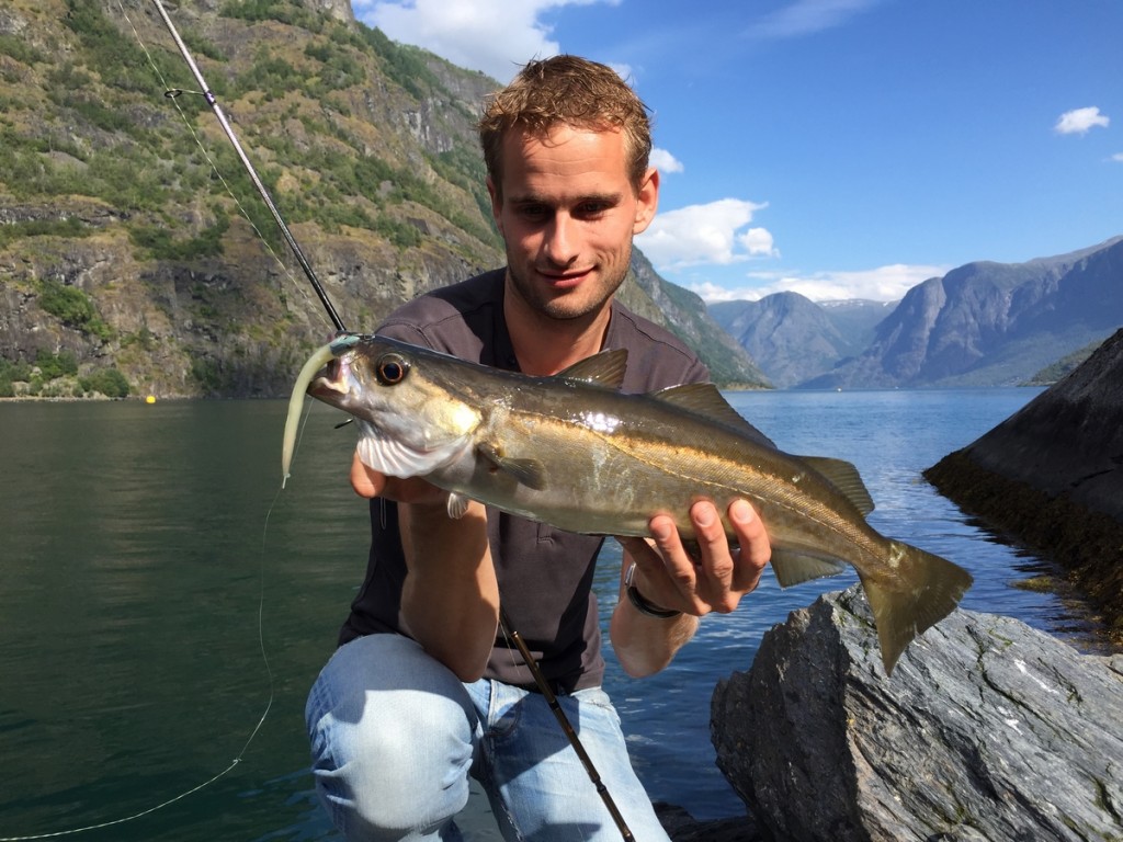 Aurlandsfjord Flåm - Pollak