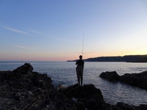 South Devon Bass fishing