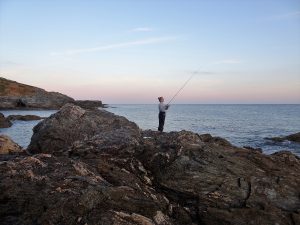 South Devon Bass fishing