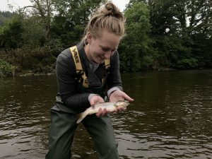 Upper river Wye Brown Trout (bruine forel)