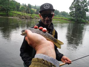 Upper river Wye Brown Trout (bruine forel)