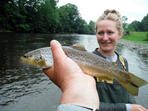 Upper river Wye Brown Trout (bruine forel)