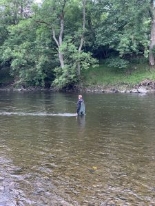 Vliegvissen op upper river Wye bij Abernant Beat