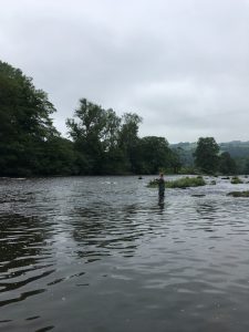 Vliegvissen op upper river Wye bij Abernant Beat