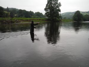 Vliegvissen op upper river Wye bij Abernant Beat