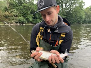 Grayling (vlagzalm) op de Upper river Wye